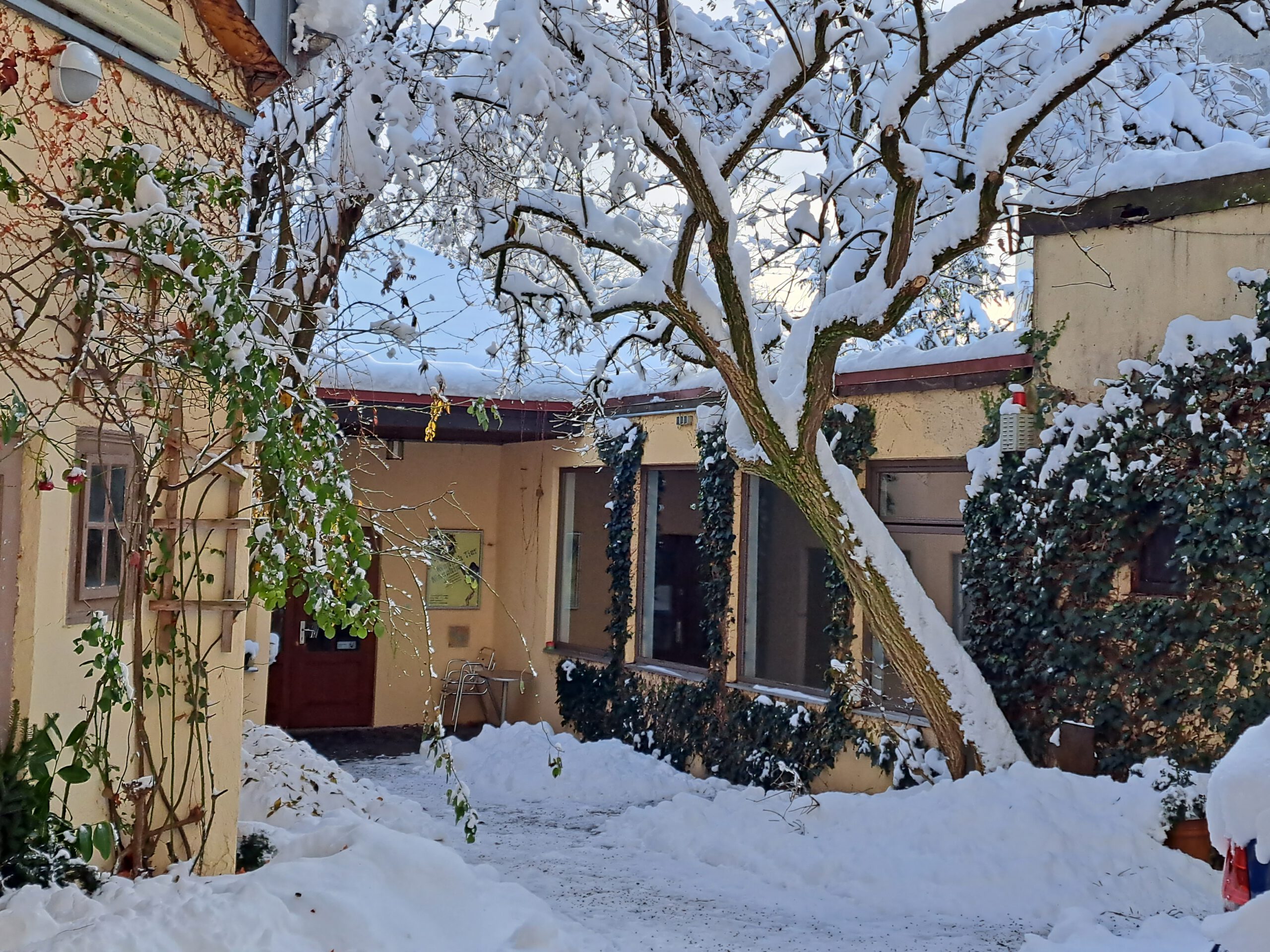 Nächstes Ausstellungsprojekt in Arbeit