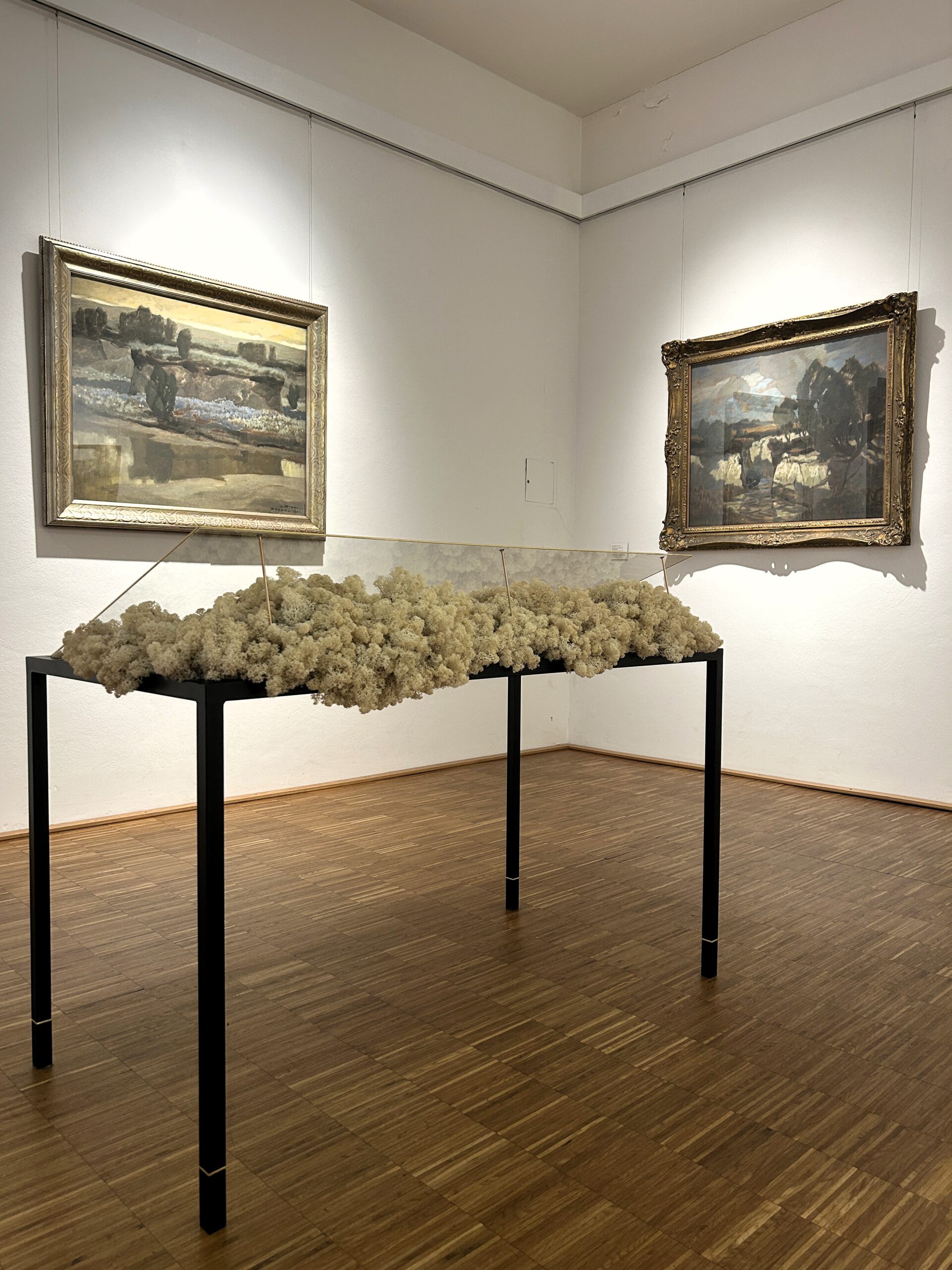 Christine Ott, Schatztruhe, 2026, Raum 5